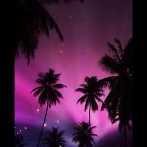 Meet your Posher, Avarie